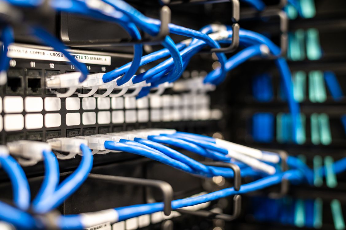 Blue network cables connected to a patch panel in a data center