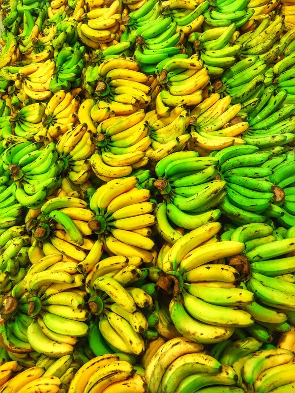 Bunches of ripe yellow and green bananas stacked at a market